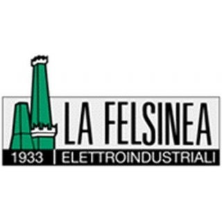 La Felsinea